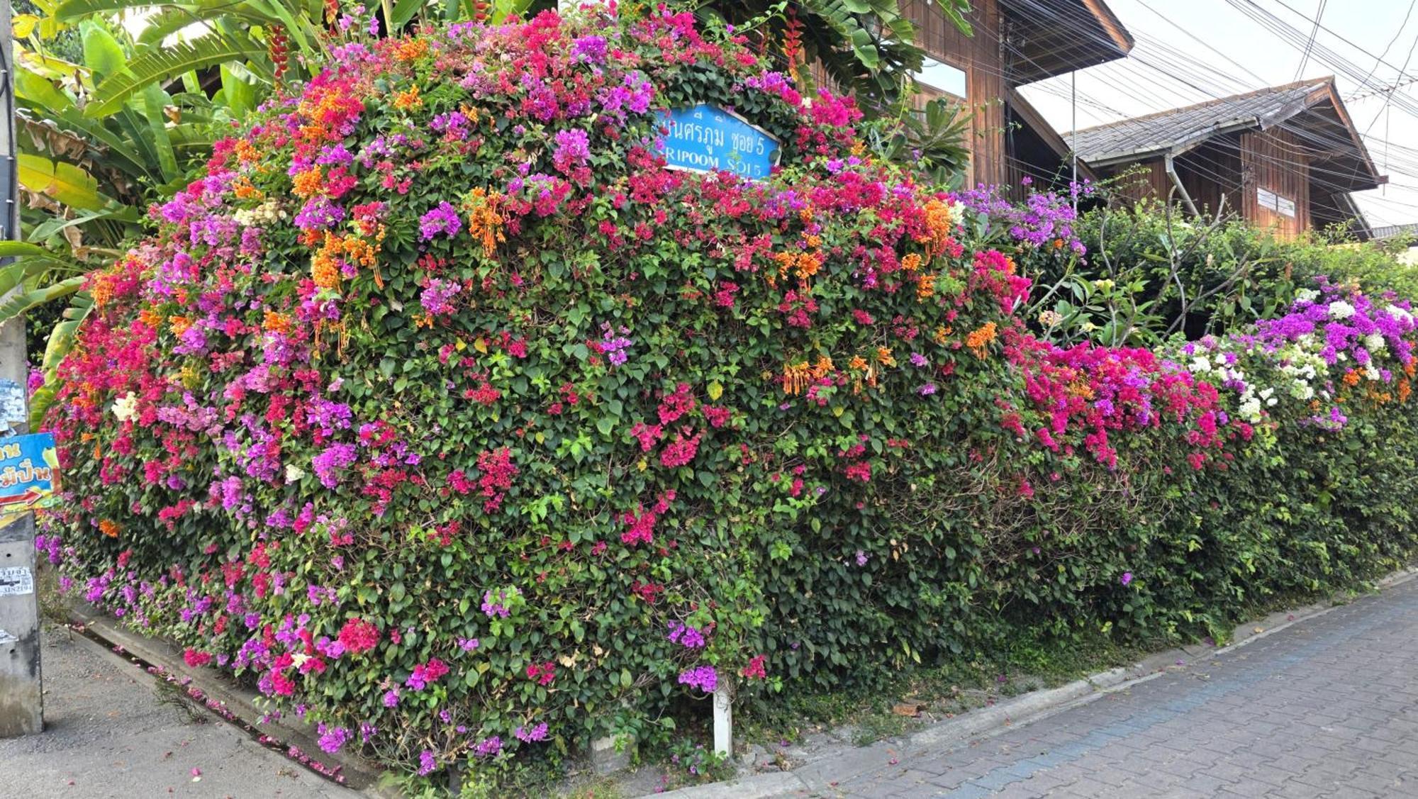 Siriwan Hostel شيانغ ماي المظهر الخارجي الصورة